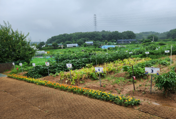 a9053121f9b4e150bfbac9ccb8e112f1_1689579