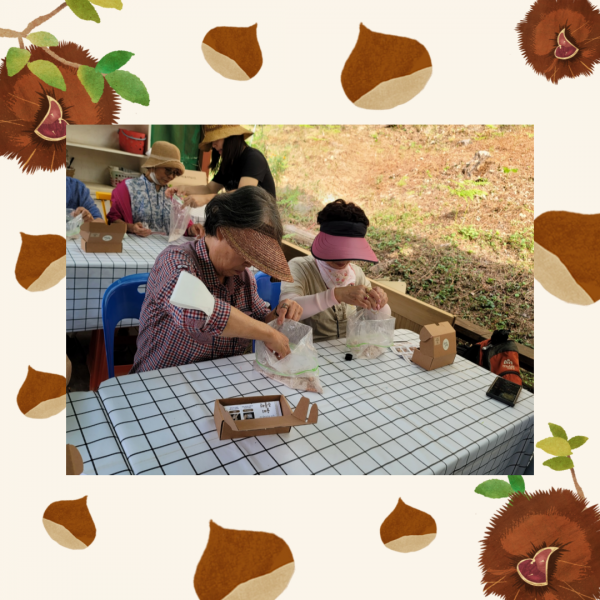 b4855da7cf7b41e8ec18ccca3db02311_1695694