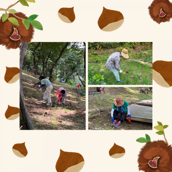 b4855da7cf7b41e8ec18ccca3db02311_1695694