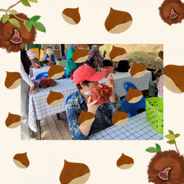 b4855da7cf7b41e8ec18ccca3db02311_1695694